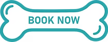 book now button